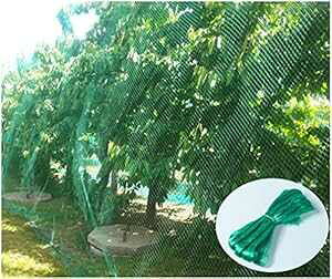 CandyHome 13tB[g x 33tB[g hbVK[flbg c A  ʎ    ėp\ȃtFXAO[ CandyHome 13Ft x 33Ft Protection Mesh Garden Netting Seedlings Plants F Fruit T