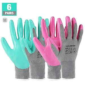 HAUSHOF K[fO[u p jgR[gƎ | Ɨp LTCY sN&O[ 6o M HAUSHOF Garden Gloves for Women, Nitrile Coated Working Gloves, for Gardening, Restoration Work, Large, Pink & G