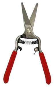 Zenport Z270 j[hm[YnT~A~͂ƗA~j 6 C`bXg[gu[h Zenport Z270 Needlenose Shear, Bonsai and Orchids, Mini 6-Inch Forged Straight Blade