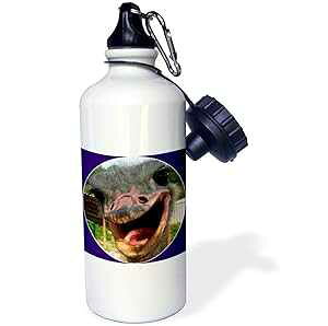 3dRose Ostrich on Farm Whats Up Sports Water Bottle, 21 oz, White