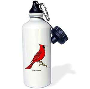 3dRose wb_25559_1�uBIRDS ���b�h �J�[�f�B�i�� 3 �I�� �z���C�g�v�X�|�[�c �E�H�[�^�[ �{�g���A21 �I���X�A�z���C�g 3dRose wb_25559_1BIRDS red cardinal 3 on white Sports Water Bottle, 21 oz, White