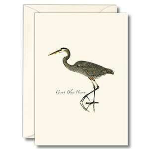 Earth Sky + Water - �I�I�A�I�T�M �m�[�g�J�[�h �Z�b�g - �����t���u�����N�J�[�h 8 �� Earth Sky + Water - Great Blue Heron Notecard Set - 8 Blank Cards with Envelopes