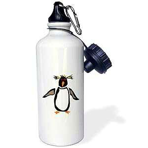3dRose Rock hopper Funny Rockhopper Penguin Primitive Art-Sports Water Bottle, 21oz , Multicolored