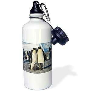 3dRose Antarctica, Herd of Emperor Penguins in winter-Sports Water Bottle, 21oz , Multicolored