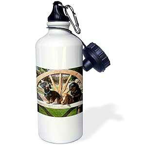3dRose Three Dachshund dogs on wooden bench-US05 ZMU0290-Zandria Muench Beraldo Sports Water Bottle, 21 oz, White