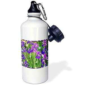3dRose Dancing Iris X|[c EH[^[{gA21 IXA}`J[ 3dRose Dancing Iris Sports Water Bottle, 21 oz, Multicolor