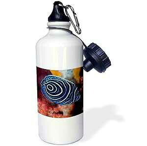 3dRose EH[^[{gA21IXAzCg 3dRose Water Bottle, 21oz, White