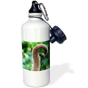 3dRose EH[^[{gA21IXAzCg 3dRose Water Bottle, 21oz, White