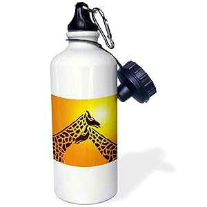 3dRose EH[^[{gA21IXAzCg 3dRose Water Bottle, 21oz, White