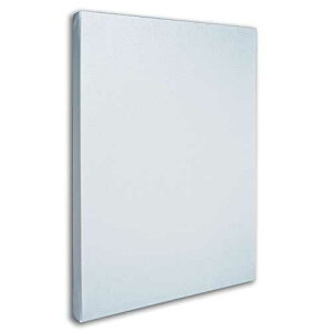 Wt@CA[gvtFbVi̋󔒂̔LoXAXgb`[o[A24 x 32C` Trademark Fine Art Professional Blank White Canvas on Stretcher Bars, 24 by 32-Inch