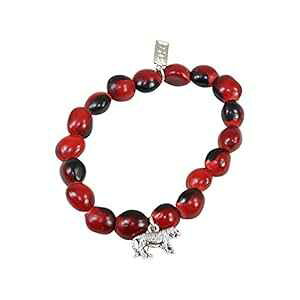 �y���[�M�t�g �^�C�K�[�v���e�N�V�����`���[�� �a�����v���[���g - Huayruro ���b�h�V�[�h - �^�C�K�[�`���[�� - Evelyn Brooks �ɂ��n���h���C�h�W���G���[ EvelynBrooksDesigns Peruvian Gift Tiger Protection