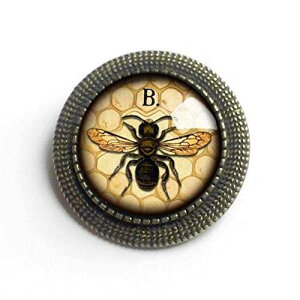 �~�c�o�`�̃K���X�Ɛ^�J�̃u���[�` The Divine Iguana Honey Bee Glass and Brass Brooch