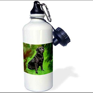 3dRose wb_3892_1 ubN uh[ go[ X|[c EH[^[ {gA21 IXAzCg 3dRose wb_3892_1 Black Labrador Retriever Sports Water Bottle, 21 oz, White