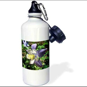 3dRose Columbine Flower Sports Water Bottle, 21 oz, White