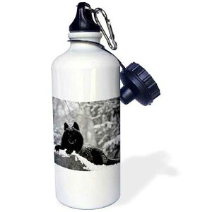 3dRose "Rocky Mountain Wolf, Black" Sports Water Bottle, 21 oz, White