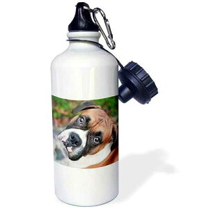 3dRose "Cute boxer dog portrait canine" Sports Water Bottle, 21 oz, White
