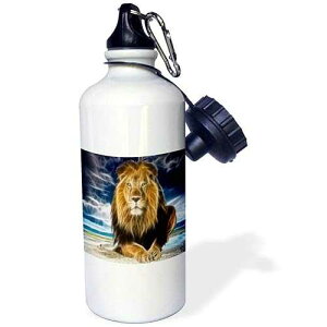 3dRose King of The Jungle, Stunning Lion on The Prairie with Digital Affects-Sports Water Bottle, 21oz , 21 oz, Multicolor