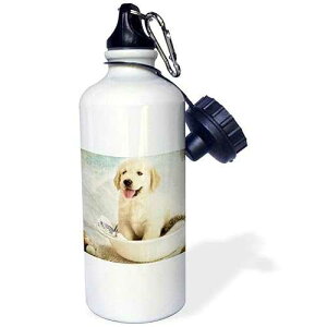 3dRose Cute Golden Retriever Puppy Spa Day Art Photo Courtesy Sports Water Bottle, 21Oz, Multicolored