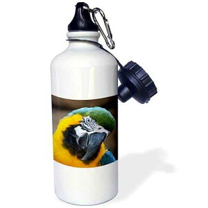 3dRose Blue Gold Parrot Macaw Head Tilted-Sports Water Bottle, 21oz , 21 oz, Multicolored