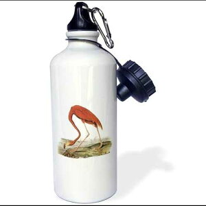 3dRose Pink Flamingo vintage bird-Sports Water Bottle, 21oz , Multicolored
