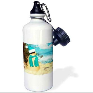 3dRose Straw Water Bottle Sandy beach Sandman with ocean view fun spoof on a snowman. - 21oz (wb_173007_2)