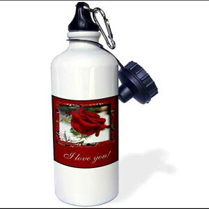 3dRose Isaiah 40-31 Bible Verse with Eagle Against a Troubled Sky Sports Water Bottle, 21 oz, White