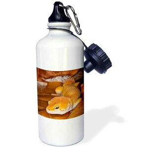 3dRose Leopard Gecko Morph, Lizard, Pakistan-As28 Aje0000-Adam Jones Sports Water Bottle, 21 oz, White