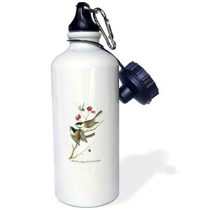 3dRose Black-capped Chickadee by John James Audubon Sports Water Bottle, 21 oz, White