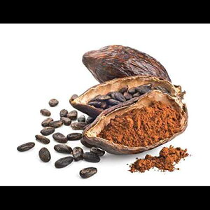 Z Natural Foods Premium Organic Cacao Powder - 5 lb - Extra Rich - The Essence of Dark Chocolate - Grown, Dried, and Cold Pressed In The Dominican Republic - 100% Pure, Vegan, Non GMO, Gluten Free, Kosher