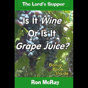 y[p[obNA̓CłAƂO[vW[Xł? CreateSpace Independent Publishing Platform Paperback, Is It Wine Or Is It Grape Juice?