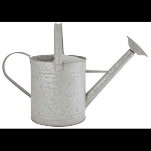 Esschert Design OZ46 傤AXL Esschert Design OZ46 Zinc Watering Can, X-Large