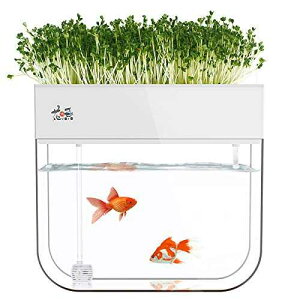 Huamuyu k͔|K[f ANA|jbNAVXeȐqgC Huamuyu Hydroponic Garden Aquaponic Fish Tank Plants Growing System Self-Cleaning Seed Sprouter Tray