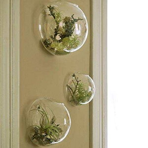 KNIKGLASS Ǌ|eE Az_[ 3Zbg ԗpǃKXԕr ApǊ|v^[ GAvc Ǒ T[ rO[ KNIKGLASS Set of 3 Wall Hanging Terrariums Indoor 