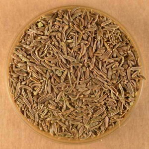 N~V[hAz[ubN - 3IX̃Xg[ugbvVF[J[W[ Spices For Less Cumin Seeds, Whole Black - 3 oz Stovetop Shaker Jar