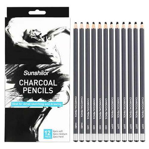 ???? ?? ?? ??? ?? - ????, ??, ??? ?? ?? 12?, ???, ???, ??, ??? ? ???? ???? ?? Sunshilor Professional Charcoal Pencils Drawing Set, 12 Pieces Soft Medium Hard Charcoal