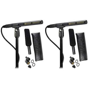 Audio-Technica (2) AT875R VbgK RfT[ }CN̓rfI̎WɍœKł Audio-Technica (2) AT875R Shotgun Condenser Microphones Ideal for Video Production and Broadcast Audio Acquisition