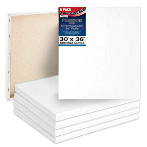 U.S. Art Supply 30 x 36 inch Stretched Canvas 12-Ounce Triple Primed, 6-Pack - Professional Artist Quality White Blank 3/4" Profile, 100% Cotton, Heavy-Weight Gesso - Acrylic Pouring, Oil ting