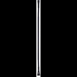 AKG �v���I�[�f�B�I �{�[�J���R���f���T�[�}�C�N (2765H00080) AKG Pro Audio Vocal Condenser Microphone (2765H00080)