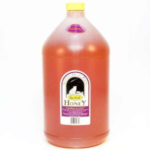 X^[ AU~ nj[ 12 |h WO (K) 4 P[X̃oNAEۂĂȂAuhĂȂAYȂAȃ~VKI Sleeping Bear Farms Star Thistle Honey 12 lb. Jug (Ga