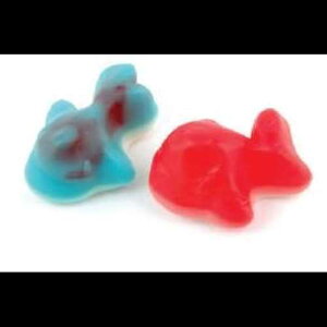 NW -20|h Dylmine Health Filled Whales -20Lbs