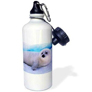 3dRose Gulf of St Lawrence, Harp Seal-CN14 GJE0027-Gavriel Jecan Sports Water Bottle, 21 oz, White