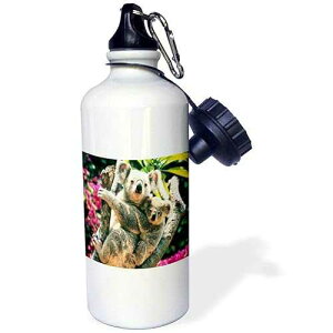 3dRose "Mama n Baby Koala Bears So Adorable" Sports Water Bottle, 21 oz, White