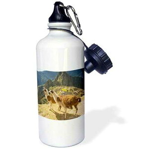 3dRose Llamas, Machu Picchu, Ancient Ruins, Peru-Sa17 Hga0027-Howie Garber Sports Water Bottle, 21 oz, White
