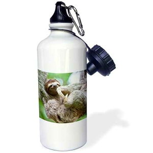 3dRose Brown-Throated Sloth Wildlife, Corcovado Costa Rica-Sa22 Jgs0021-Jim Goldstein Sports Water Bottle, 21 oz, White