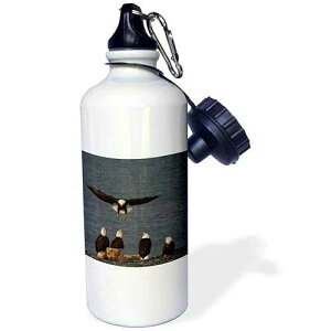 3dRose Alaska, Kachemak Bay, Homer Spit Bald Eagle US02 BJA0279 Jaynes Gallery Sports Water Bottle, 21 oz, Brown