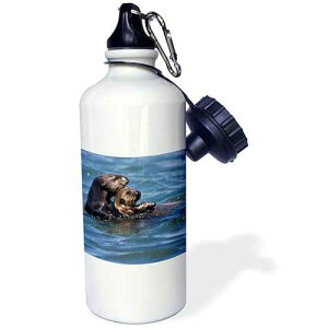 3dRose California Sea Otter, Moss Landing, California-US05 JGS0199-Jim Goldstein Sports Water Bottle, 21 oz, White