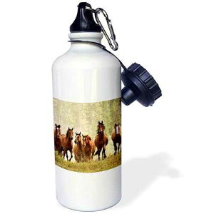 3dRose Horses Cresting Small Hill During Roundup, Montana-Us27 Aje0036-Adam Jones Sports Water Bottle, 21 oz, White
