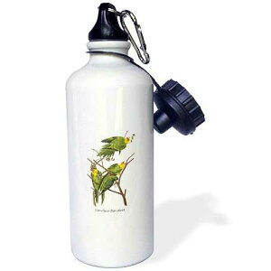 3dRose "Carolina Parakeet by John James Audubon" Sports Water Bottle, 21 oz, White