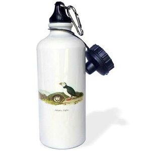 3dRose Atlantic Puffin by John James Audubon Sports Water Bottle, 21 oz, White