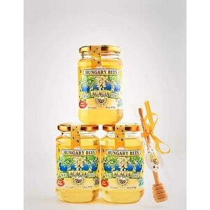 nK[~co` 100% ȐI[KjbN쐶AJVAI 16 IX - 3 pbNɂ͖IfBbp[XeBbN܂܂܂ Hungary Bees 100 Percent Pure Raw Organic Wild Acacia Honey 16 Ounce- 3 Pack Incl